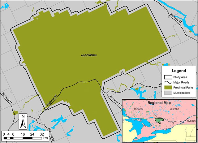 colour map of Algonquin Provincial Park study area, as described above.