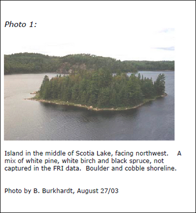 Photograph of an Island in the middle of Scotia Lake, facing northwest.