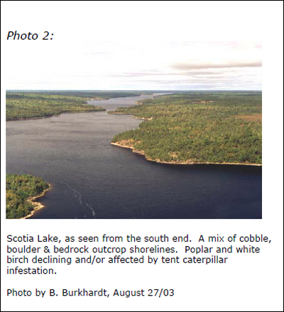 Photograph of Scotia Lake, as seen from the south end. A mix of cobble, boulder & bedrock outcrop shorelines. Poplar and white birch declining and/or affected by tent caterpillar infestation