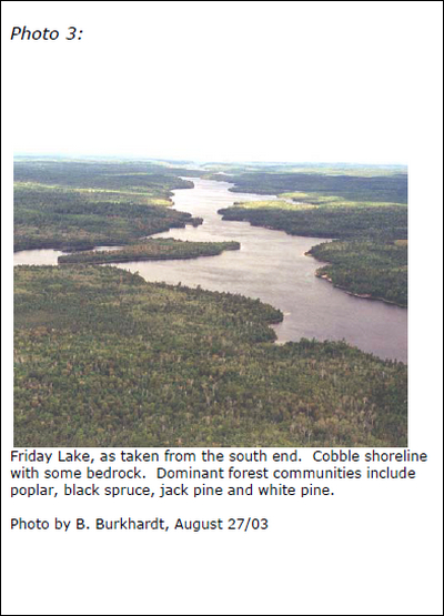 Photograph of Friday Lake, as taken from the south end. Cobble shoreline with some bedrock. Dominant forest communities include poplar, black spruce, jack pine and white pine
