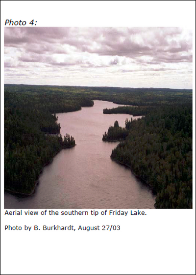 Photograph showing an Aerial view of the southern tip of Friday Lake