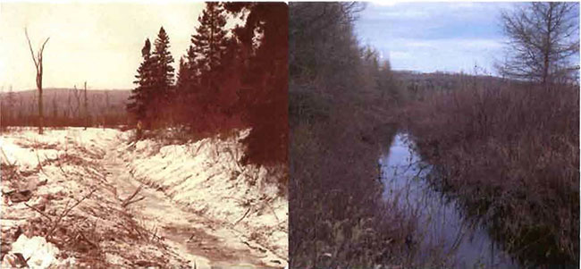 These two photos from left to right whoes the peripheral ditching along creek in 1982 and 2003.
