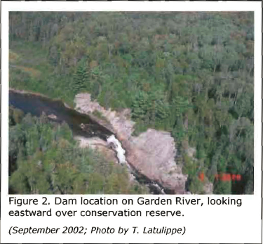 Garden River Forest Conservation Reserve Management Statement | ontario.ca