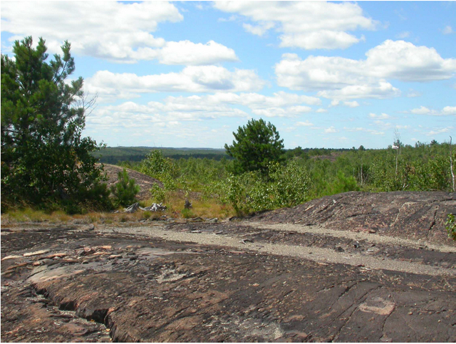 Photo of exposed bedrock and trees in Garson Forest Conservation Reserve