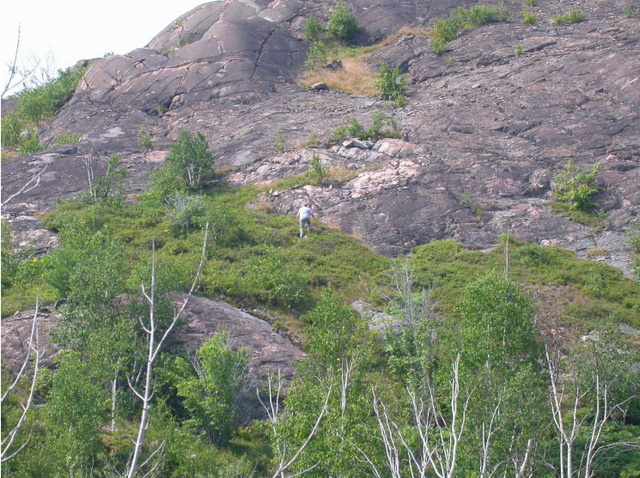 Photo of large bedrock in Garson Forest Conservation Reserve