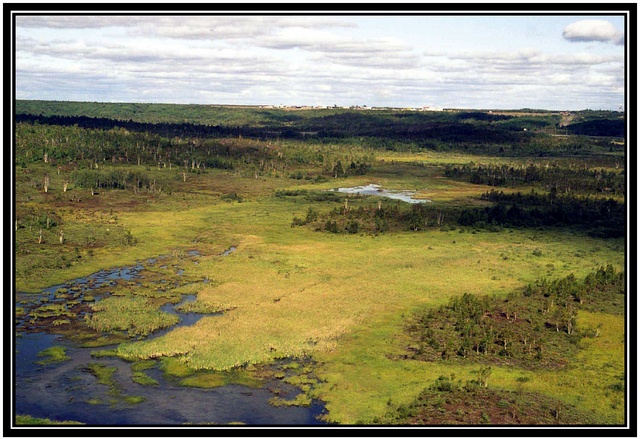 Aerial photo of Garson Forest Conservation Reserve