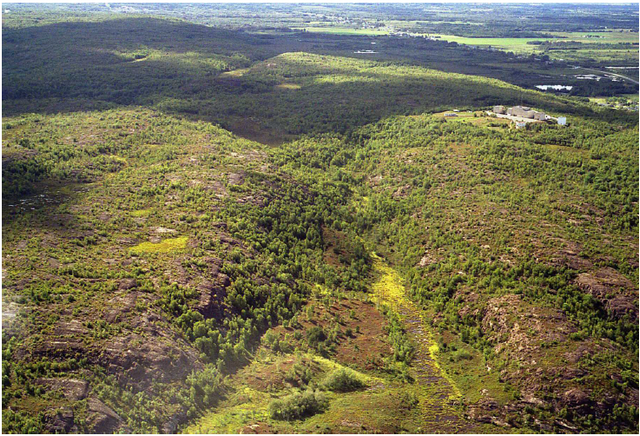 Photo of Garson Forest Conservation Reserve showing the northern boundary of the reserve.