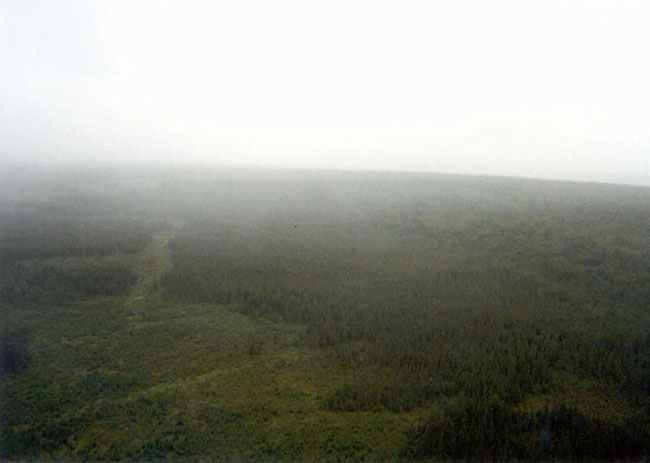 This photo shows the top view of eastern boundry, forest.