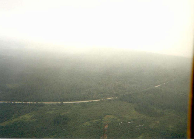 This photo shows the top view of eastern boundry, forest, along abitibi main road.