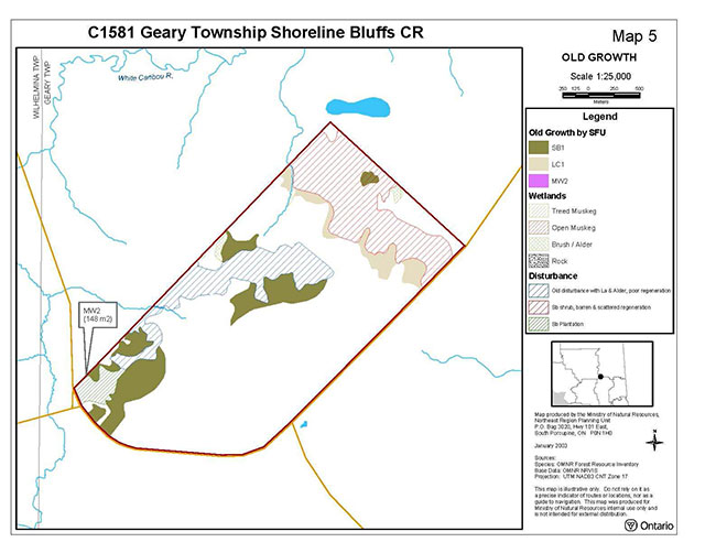 This map shows the old growth in geary township shoreline bluffs.