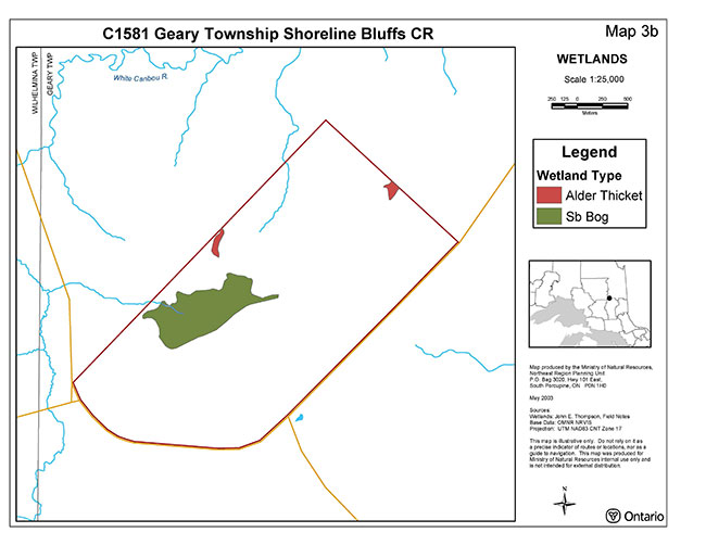 This map shows the wetlands in geary township shoreline bluffs.