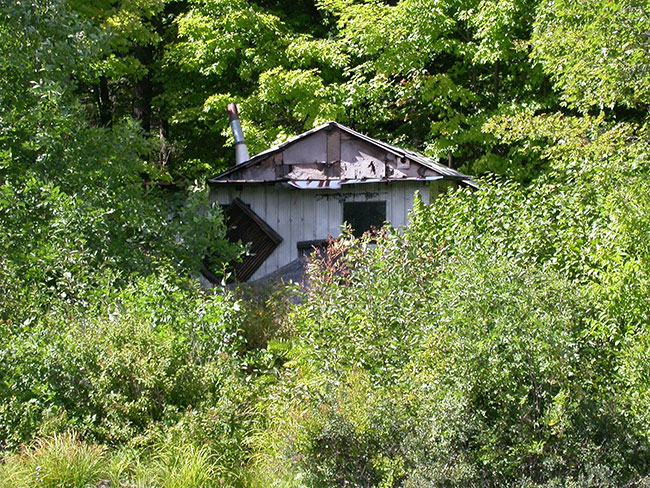 photo of an old cabin on the whiskey lake shore.