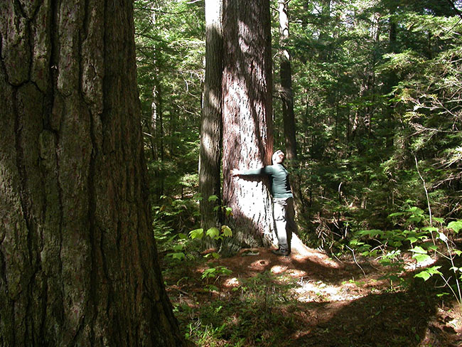 This photo shows teh image of a guy holding a tree located in the Glenn N. Crombie Conservation Reserve.