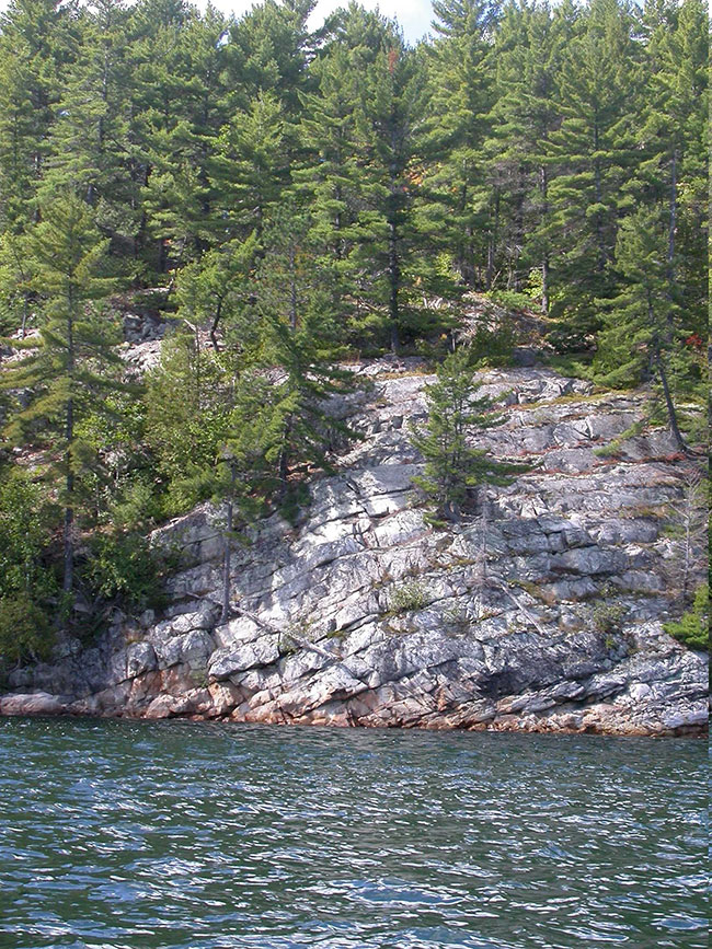 This photo shows the rocks and the trees on the whiskey lake shore.