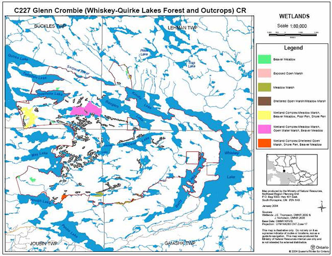 This map shows the Glen Crombie (Whiskey-Quirke Lakes Forest and Outcrops) Conservation Reserve’s wetlands. Beaver meadows, open marshes, shore fen, and combined variations of complex wetlands.