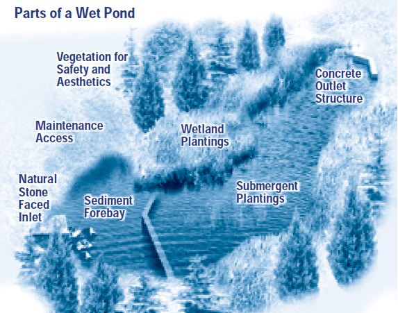 Labelled diagram of components in a wet pond