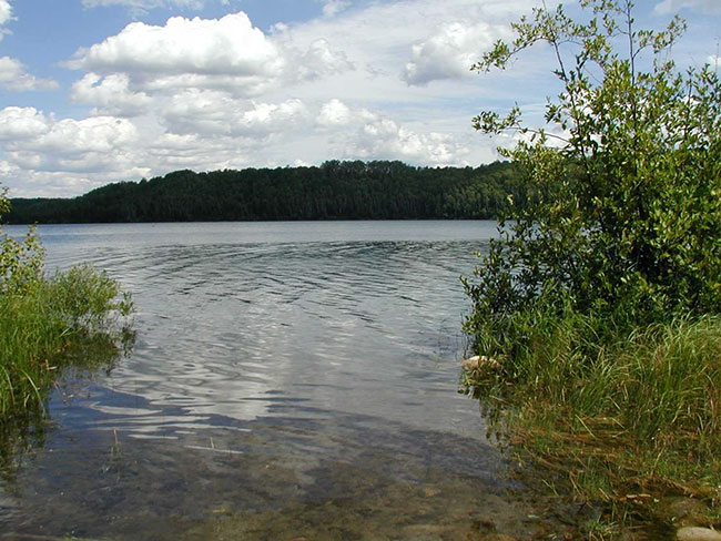 This photo shows the image of the lake and trees surrounded, eastern shore from the day use site on spring lake