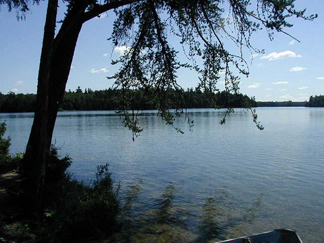 This photo shows the image of the lake and trees, blue lake frim day use site on northern shore