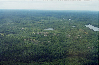This is an aerial photo depicting the landscape of the Gough Outwash Conservation Reserve.