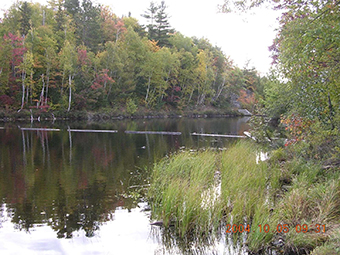 This is photo 2 showing Birch Lake dam at the south end of Gough Lake (Birch Lake)