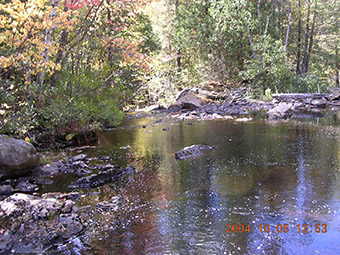 This is photo 3 showing a Central segment of McClander Creek within the Gough Outwash conservation reserve.