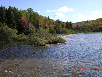 This is photo 4 showing the North end of Gough Lake (Birch Lake), near the outlet of McClander Creek.