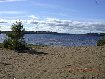 This is photo 7 showing a beach along the shores of Gough Lake (Birch Lake).