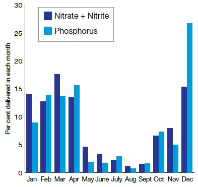 A bar graph showing the seasonal pattern in the amount of nitrogen (as nitrate + nitrite) and phosphorus delivered by the ministry’s study streams, illustrating that a large portion of annual loadings of nitrate+nitrate and phosphorus are delivered in winter and early spring.
