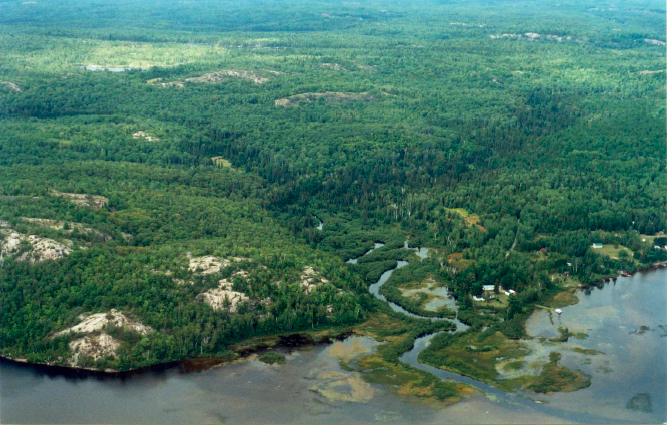Aerial view of Gough Outwash Forest: rocky north shore of Gough Lake (Birch Lake) and inlet from McLander Creek.