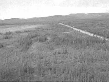 This photo shows the Aerial view looking north from southeast portion of Goulais River Beach Ridges Conservation Reserve. Highway 17 is the road shown.