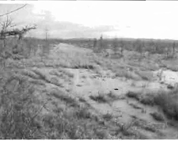 This is a photo of land, snowmobile trail at powerline road looking east across open bog, toward highway 17.