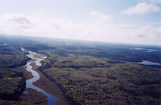 Thi sphoto shows the top view of Grassy river between the forest, Grassy river eastern branch and eastern portion of site.