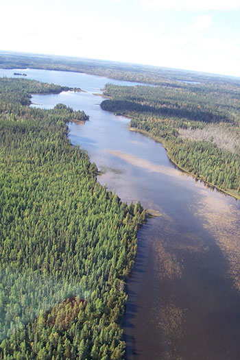 A top view of western arm black spruce stand taken in 2003