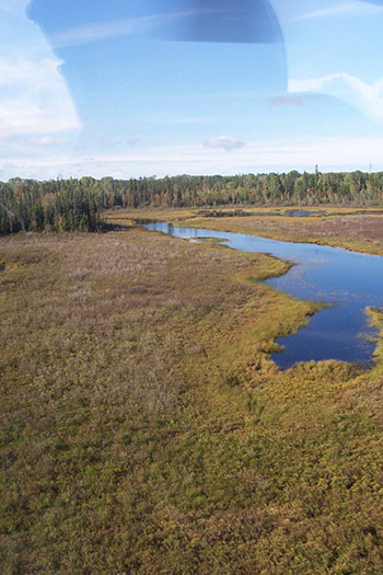 This photo shows a river and land around it, wild rice beds taken in 2003.