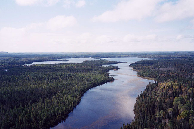 This photo shows a top view of Grassy river western branch among the forest and trees.