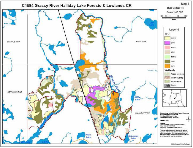 This photo shows the detailed map for old growth in grassy river.