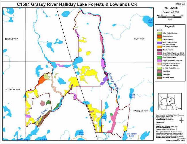 This map shows the wetlands in grassy river.