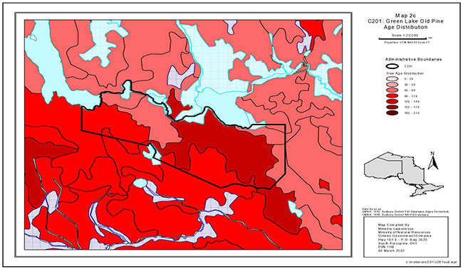 This map shows the age distribution in Green Lake Old Pine.