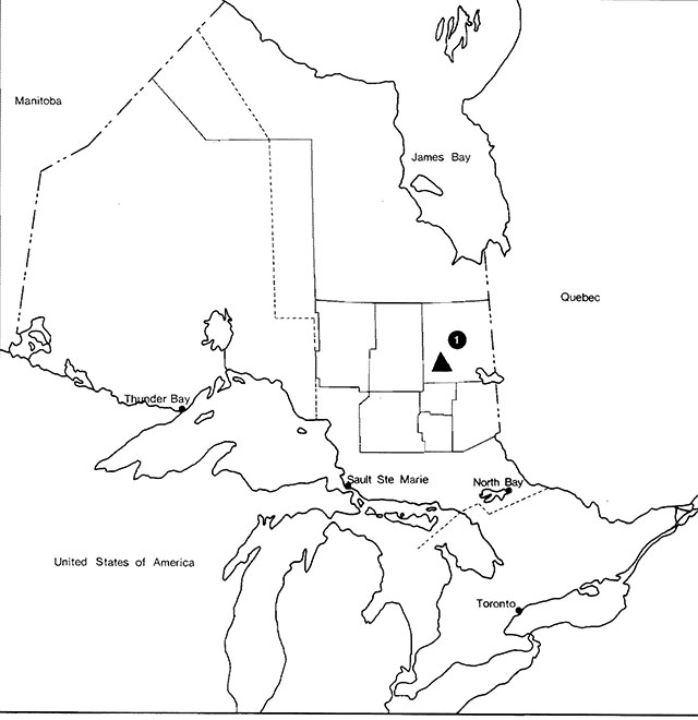 Black and white line drawing of Ontario indicates boundaries of planning regions.