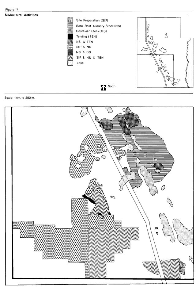 Greyscale map indicates nine types of areas in which Silvicultural activities take place with shades of grey.