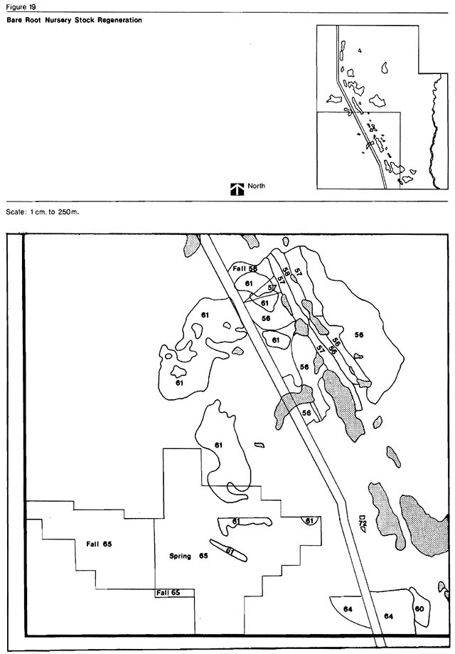Greyscale map indicates areas of Bare root nursery stock regeneration with black outlined areas with seasons and numbers between 56 and 65 inside them.
