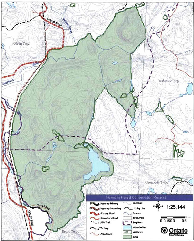 Harmony Forest Conservation Reserve Management Statement | ontario.ca