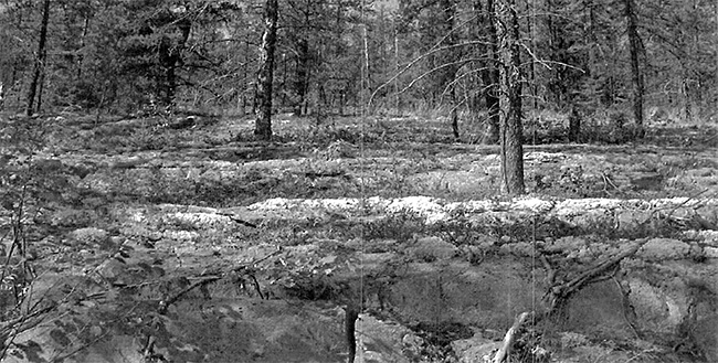 This is a photo showing bedrock located in the site.