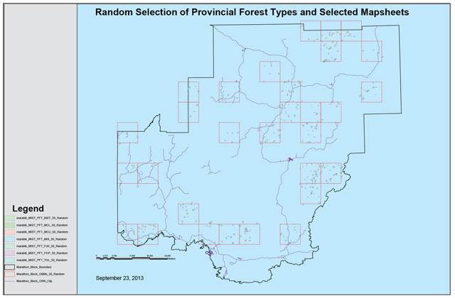 Map of random selection of seven provincial forest types and selected mapsheets. Polygon selections are outlined in red.