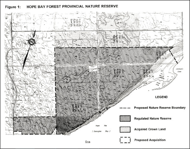 Map of Hope Bay Forest Provincial Nature Reserve