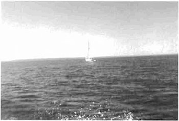 Photo of a sailing boat on the sea, Sailing within the 1.6 Kilometres water boundary of the conservation reserve.