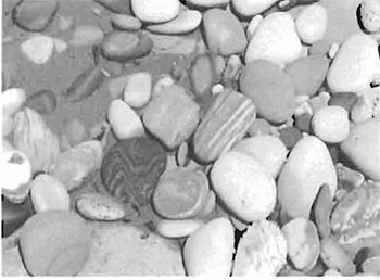 This photo shows Provincially significant Jacobsville Sandstone cobble and pebble beaches of Ile Parisienne. 