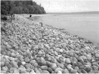 This photo shows some big rocks on the beach. Cobble spit and glacial deposited boulders, located along eastern shore of the island.
