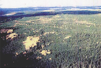 This is an aerial photo of Jackson Lack Conservation Reserve.