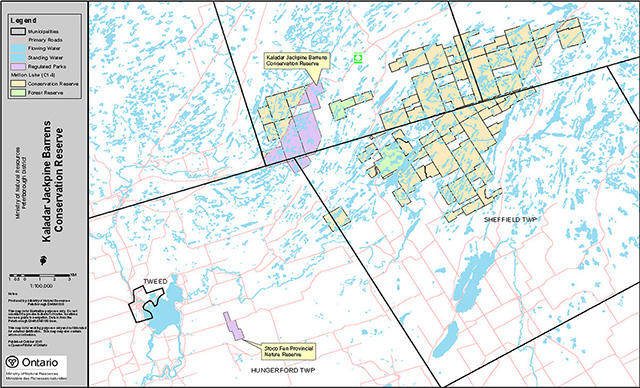 This is the area boundary map for Kaladar Jack Pine Barrens